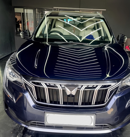 Paint correction in PCMC.